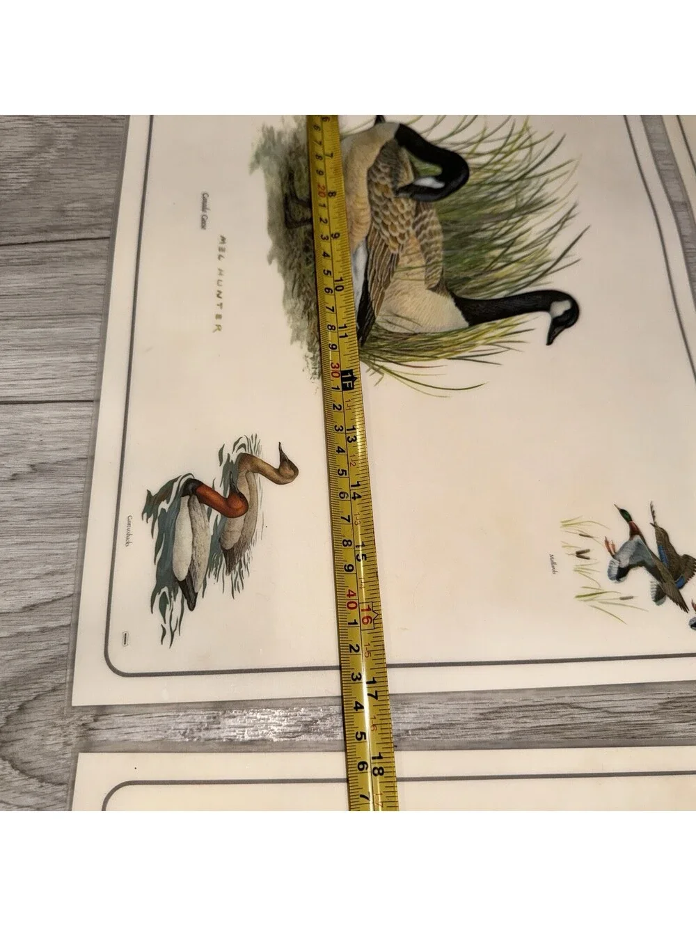 4 Vintage Mel Hunter Canada Geese Wildlife Placemats Duck Hunting Cabin 11x17